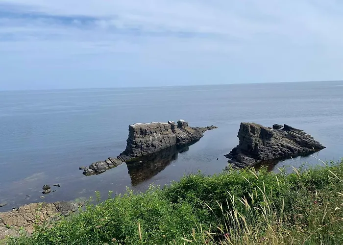 Family House Freeдом *