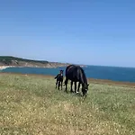 Family House Freeдом וילה *