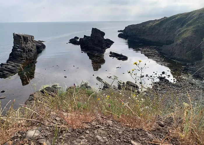 וילה Family House Freeдом סינמורץ