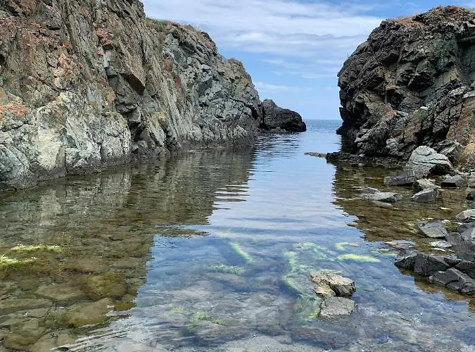 Family House Freeдом