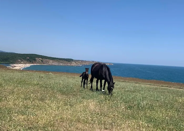 Family House Freeдом וילה *